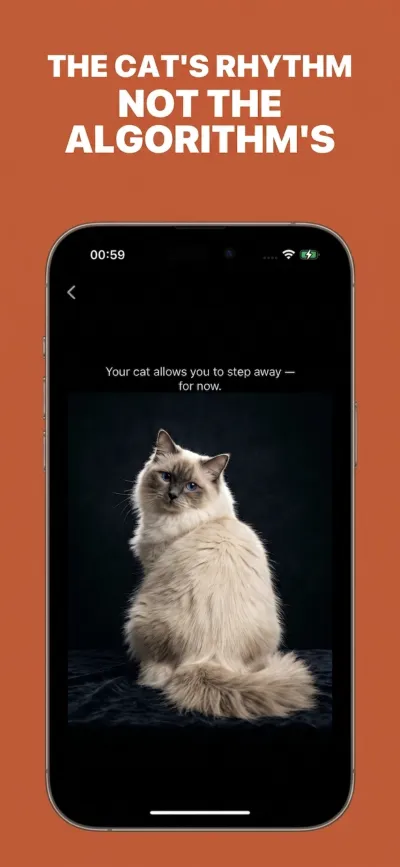 Choose which apps to gate: Instagram, TikTok, X, YouTube