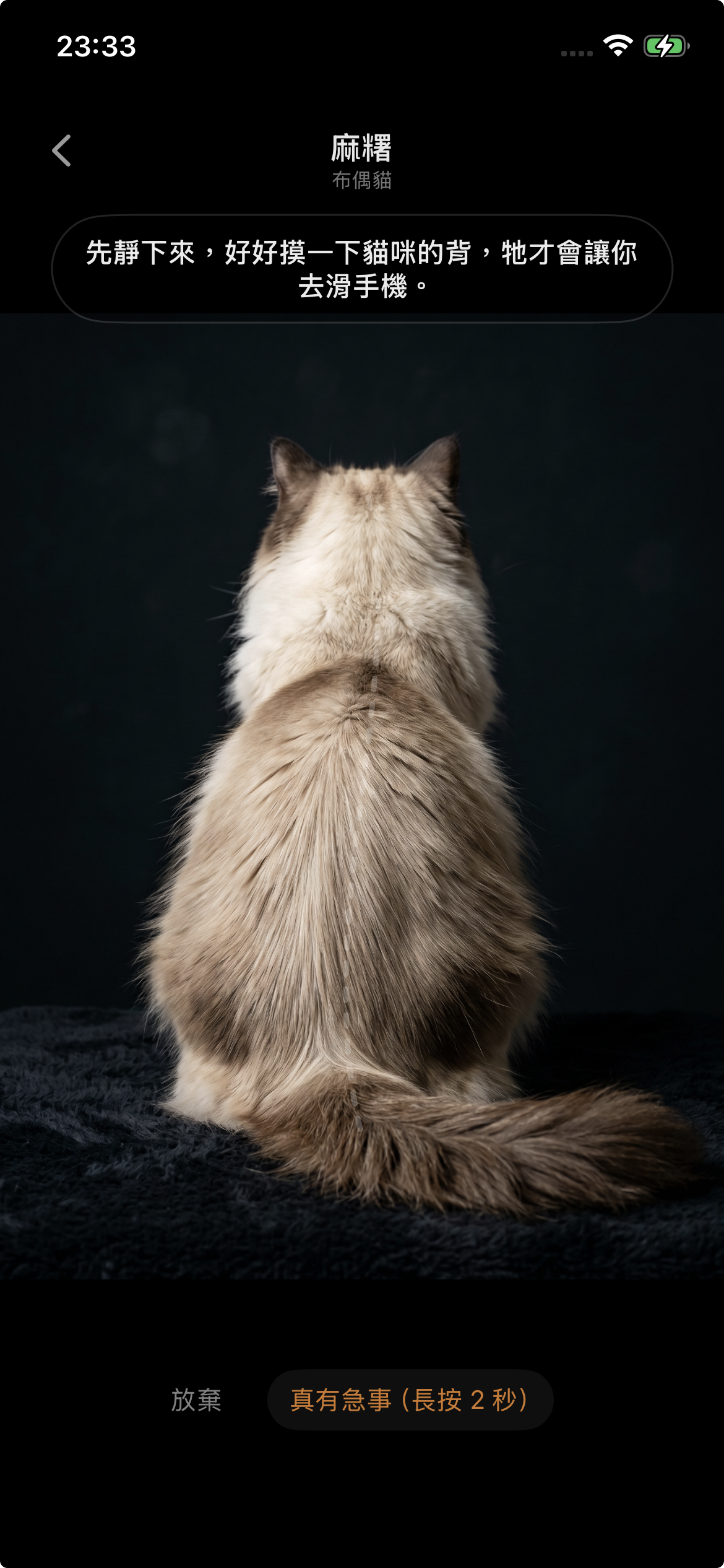 CatGate screenshot