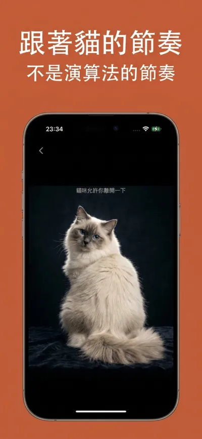 選擇想管住的 APP：Instagram、TikTok、X、YouTube