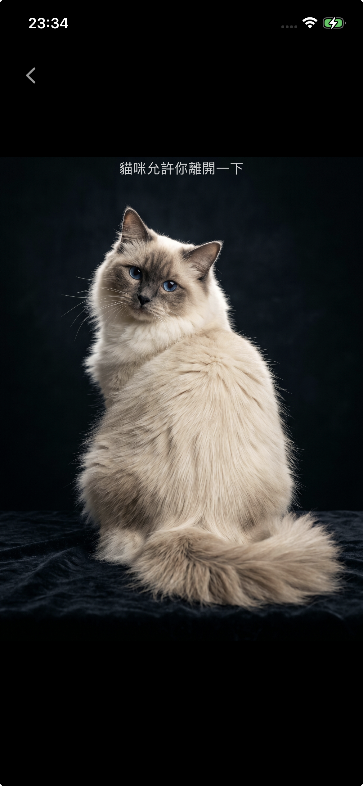 CatGate screenshot
